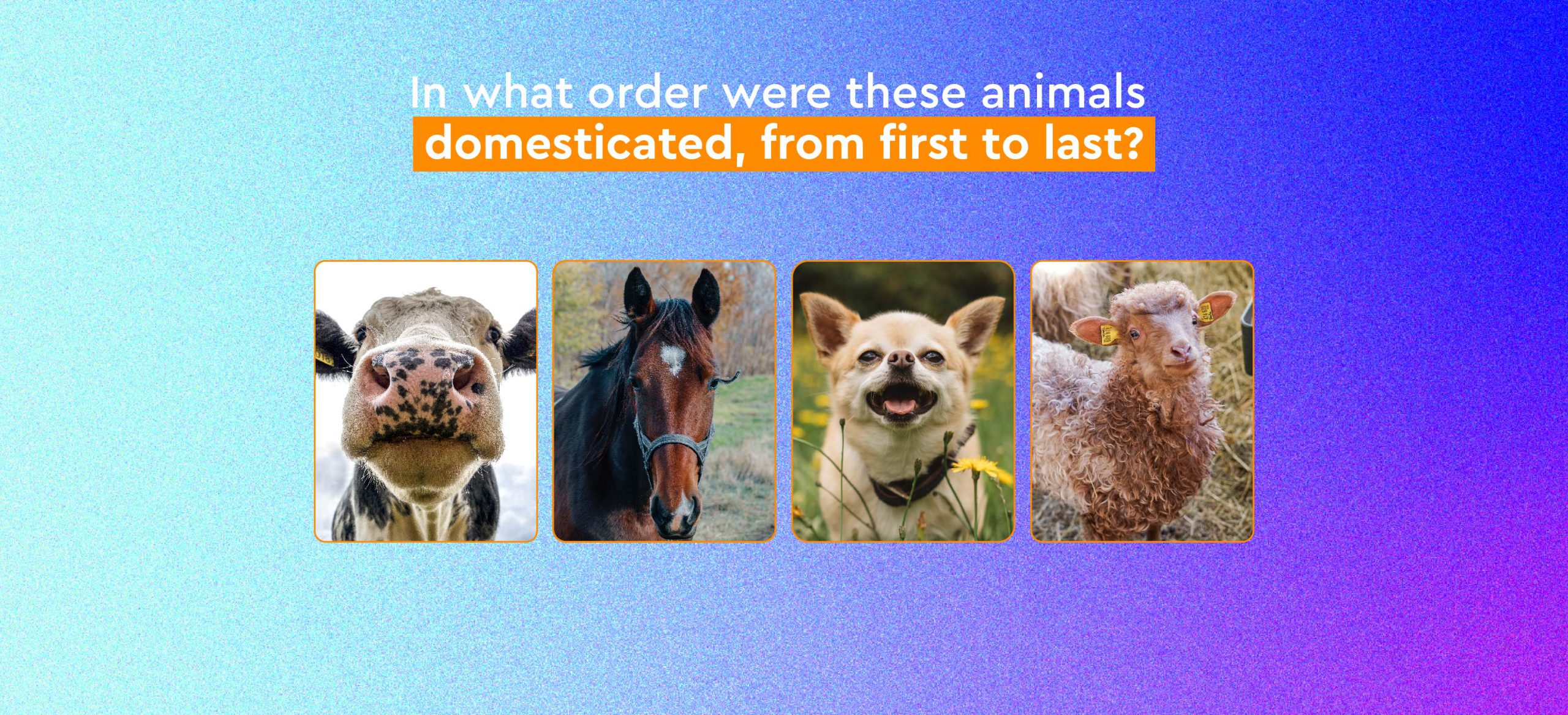 wild-vs-domesticated-animals-why-domestication-has-nothing-to-do-with